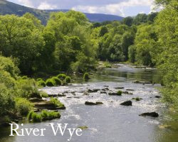 River Severn at Caersws